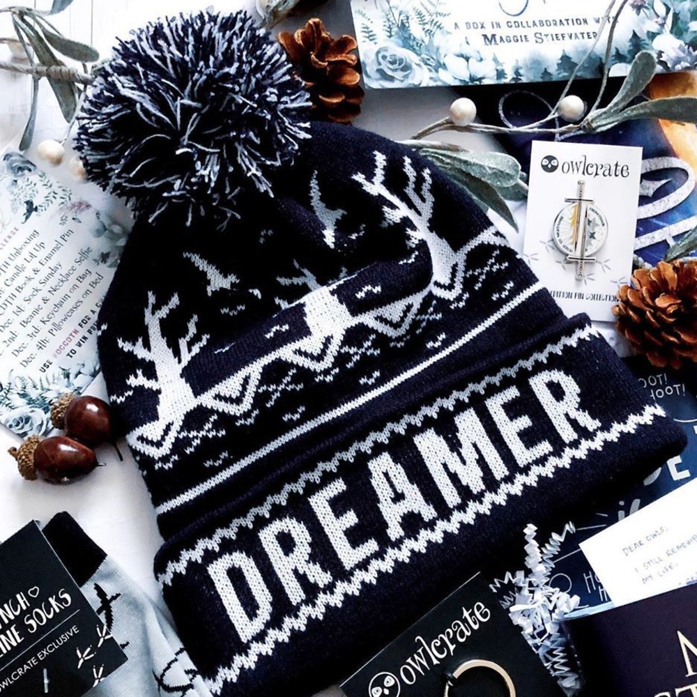 Owlcrate Dreamer Beanie